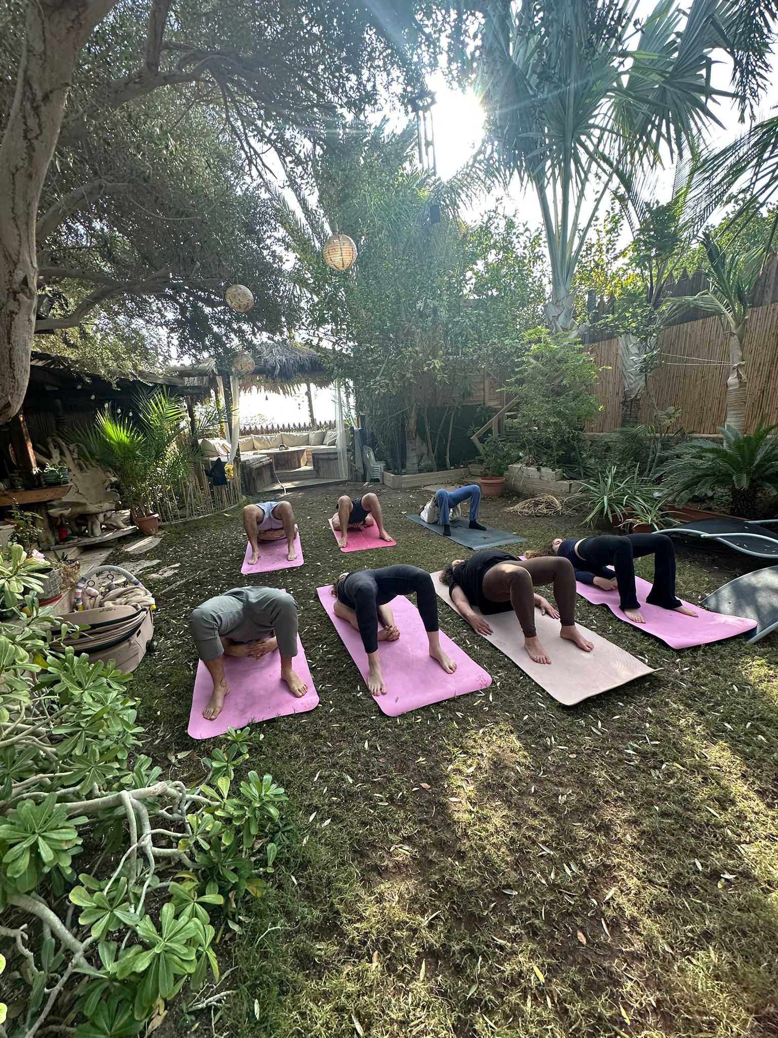 YOGINI – תמונה 12