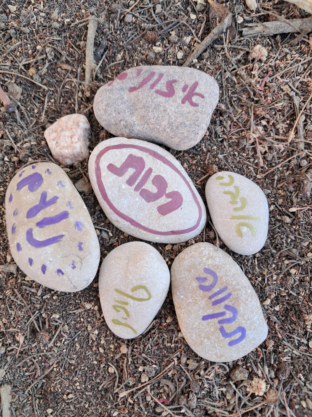 YOGINI – תמונה 6